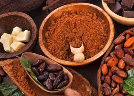 Sản phẩm bot cacao nguyen chat tai ha noi — Nông Sản Nam Vạn Long - Công Ty TNHH Nam Vạn Long — MST 3702200615