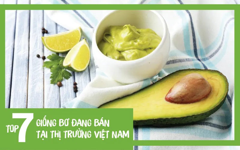 Sản phẩm Tong Hop 7 Loai Bo Ngon Pho Bien Nhat Viet Nam — Nông Sản Nam Vạn Long - Công Ty TNHH Nam Vạn Long — MST 3702200615