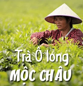 Sản phẩm zKYommgxvCNQegDpeDLkdbA5MUnFkb90eWfwsBcz — Nông Sản Nam Vạn Long - Công Ty TNHH Nam Vạn Long — MST 3702200615