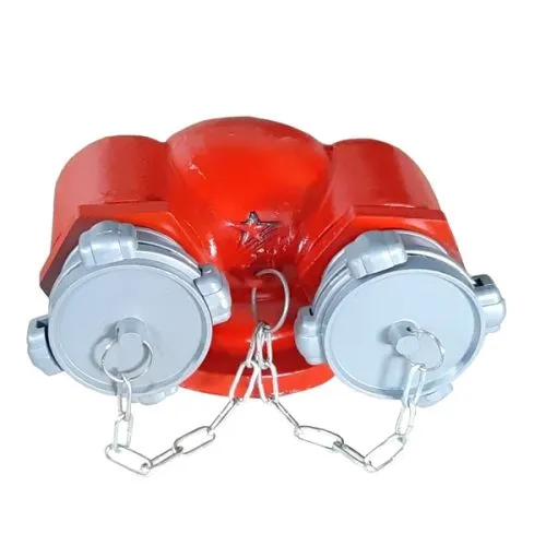 Sản phẩm Hong tiep nuoc chua chay 2 cua 500x500 — Công Ty TNHH Thương Mại Dịch Vụ Hoàng Khang Phúc — MST 3702212829