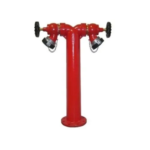 Sản phẩm Tru chua chay ngoai 500x500 — Công Ty TNHH Thương Mại Dịch Vụ Hoàng Khang Phúc — MST 3702212829