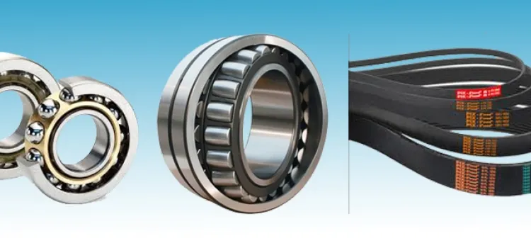 Sản phẩm 14789323741_750x350 — Công Ty TNHH Thương Mại Tâm Nam Phát — MST 3702258767