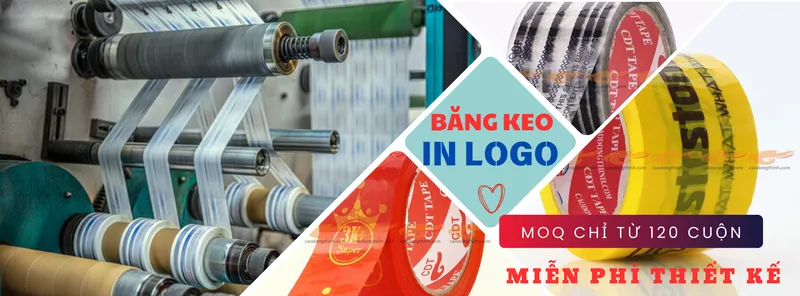 Sản phẩm 3 1 — Găng Tay Cao Đông Thịnh - Công Ty TNHH Một Thành Viên Cao Đông Thịnh — MST 3702264400