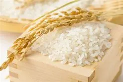 Sản phẩm lúa gạo 2 — Hút ẩm Thanh Dung - Công Ty TNHH Quốc Tế Thanh Dung — MST 3702273807