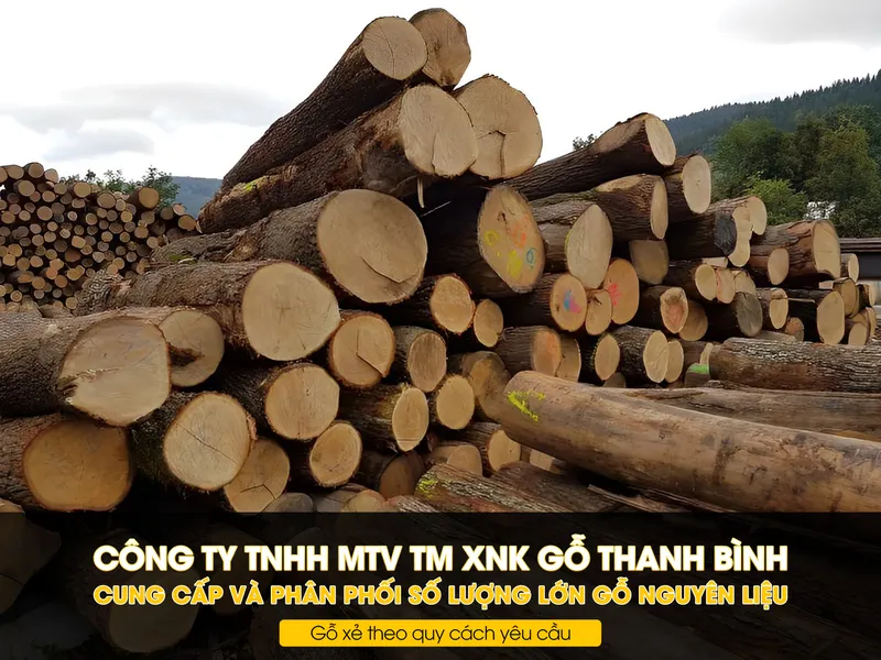 Sản phẩm Gioi thieu cong ty — Gỗ Thanh Bình - Công Ty TNHH Một Thành Viên Thương Mại Xuất Nhập Khẩu Gỗ Thanh
Bình — MST 3702287045
