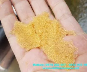 Sản phẩm Hat nhua c488505a — Công Ty TNHH MTV Xây Dựng Môi Trường Hòa Phát — MST 3702297117