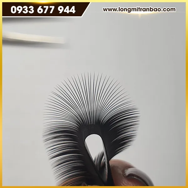 Sản phẩm long mi hang lua 5 — Lông Mi Trần Bảo - Công Ty TNHH Sản Xuất Lông Mi Trần Bảo — MST 3702300384