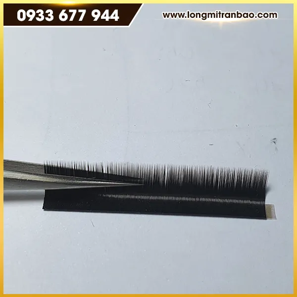Sản phẩm long mi hang lua 7 — Lông Mi Trần Bảo - Công Ty TNHH Sản Xuất Lông Mi Trần Bảo — MST 3702300384