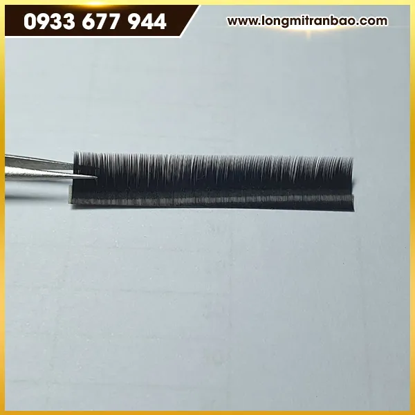 Sản phẩm long mi hang lua 8 — Lông Mi Trần Bảo - Công Ty TNHH Sản Xuất Lông Mi Trần Bảo — MST 3702300384