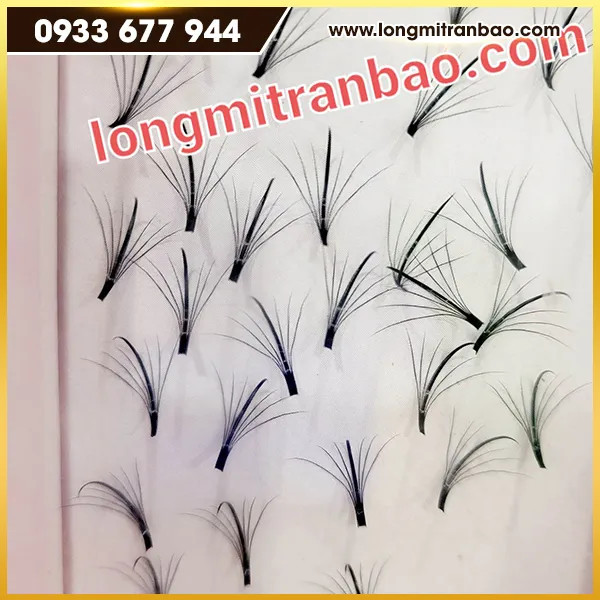 Sản phẩm long mi hang yw — Lông Mi Trần Bảo - Công Ty TNHH Sản Xuất Lông Mi Trần Bảo — MST 3702300384