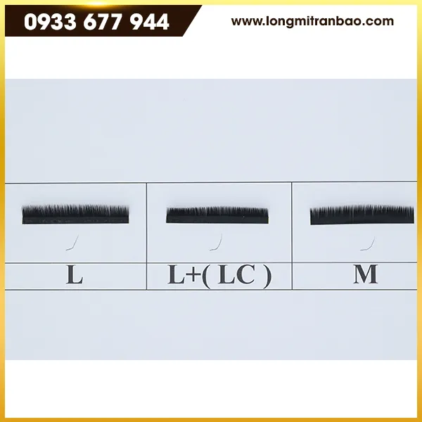 Sản phẩm long mi hang — Lông Mi Trần Bảo - Công Ty TNHH Sản Xuất Lông Mi Trần Bảo — MST 3702300384