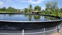Sản phẩm bat nuoi ca 247x139 — Mái Xếp Hòa Phát - Công Ty TNHH MTV Hòa Phát Phát — MST 3702303811