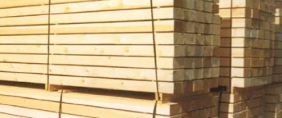 Sản phẩm 5740386xago 8975_570x240 — Pallet Gỗ Phú Minh Trí - Công Ty TNHH Công Nghiệp Phú Minh Trí — MST 3702308369