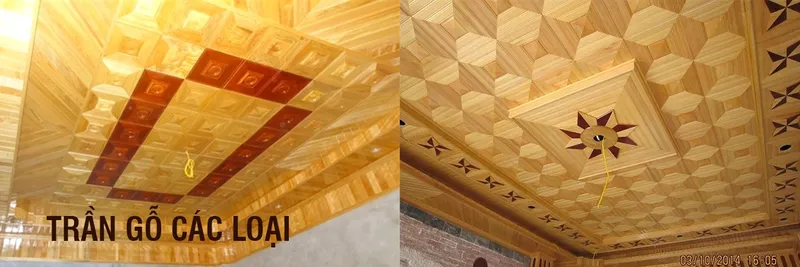 Sản phẩm trangocacloai 5672_1349x450 — Pallet Gỗ Phú Minh Trí - Công Ty TNHH Công Nghiệp Phú Minh Trí — MST 3702308369