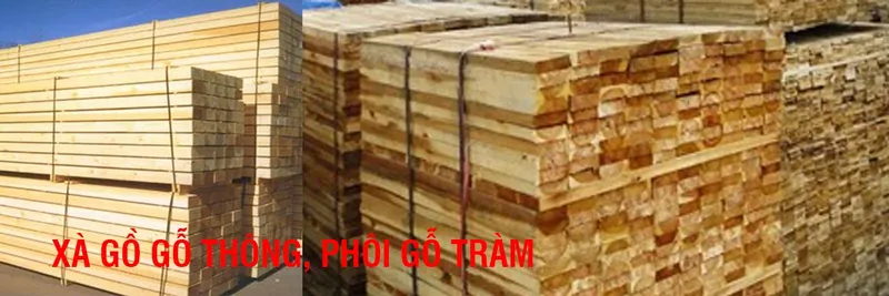 Sản phẩm xagogothongphoigotram 7060_1349x450 — Pallet Gỗ Phú Minh Trí - Công Ty TNHH Công Nghiệp Phú Minh Trí — MST 3702308369