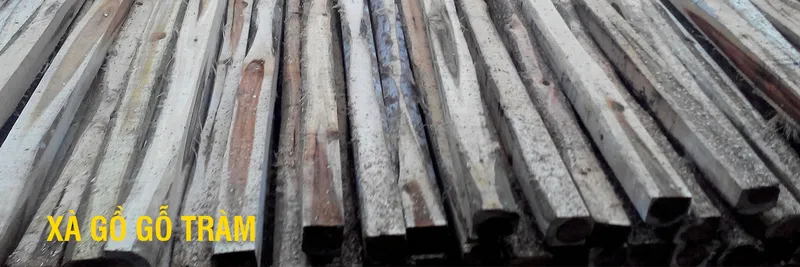Sản phẩm xagogotram 6754_1349x450 — Pallet Gỗ Phú Minh Trí - Công Ty TNHH Công Nghiệp Phú Minh Trí — MST 3702308369