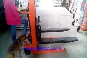 Sản phẩm nhung loai dong co xe nang — Công Ty TNHH SX TM DV XNK Hoàng Gia — MST 3702324152