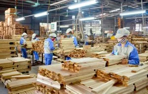 Sản phẩm chi phi mo xuong go cong nghiep 300x191 — Máy Chế Biến Gỗ Trường Hưng - Công Ty TNHH Trường Hưng — MST 3702328950