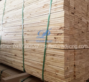 Sản phẩm thanh nan pallet go moi gia re binh phuoc 1120x880 9614.jpg — Pallet Toàn Phát - Công Ty TNHH Một Thành Viên Thương Mại Dịch Vụ Pa Lét Toàn
Phát — MST 3702329457