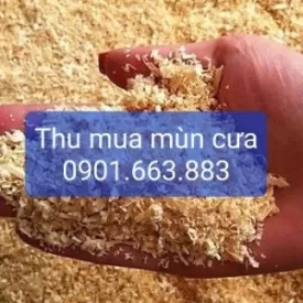 Sản phẩm thu mua mun cua 9785_1763554844380.jpg — Thu Mua Phế Liệu Phú Xuân - Công Ty Cổ Phần Môi Trường Phú Xuân — MST 3702330124