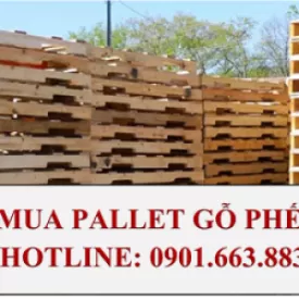 Sản phẩm thu mua pallet go gia cao 5804_1763554829678.png — Thu Mua Phế Liệu Phú Xuân - Công Ty Cổ Phần Môi Trường Phú Xuân — MST 3702330124