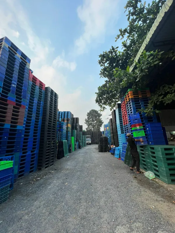 Sản phẩm a22 — Pallet Quang Minh - Công Ty TNHH Pallet Nhựa - Gỗ Quang Minh — MST 3702357038