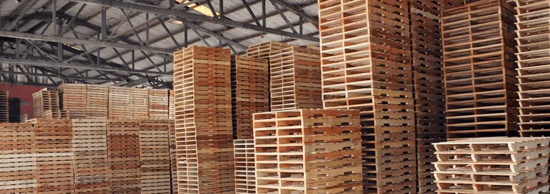 Sản phẩm b3c — Pallet Quang Minh - Công Ty TNHH Pallet Nhựa - Gỗ Quang Minh — MST 3702357038