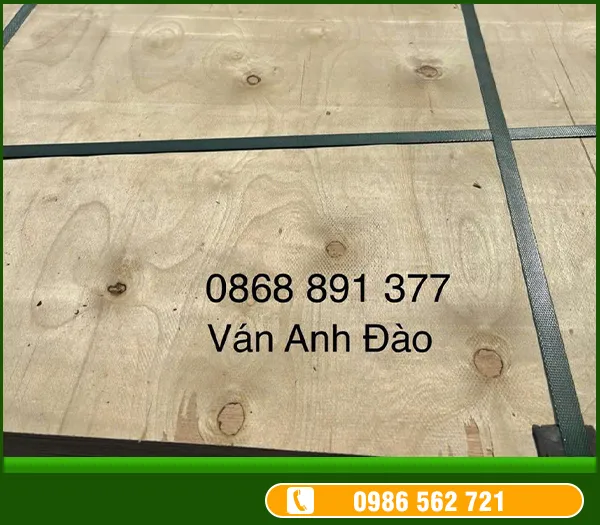 Sản phẩm vanepanhd (3) — Công Ty TNHH Một Thành Viên Ván ép Anh Đào — MST 3702362831