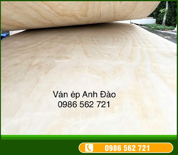 Sản phẩm VÃ¡n Ã©p máº·t thÃ´ng — Công Ty TNHH Một Thành Viên Ván ép Anh Đào — MST 3702362831