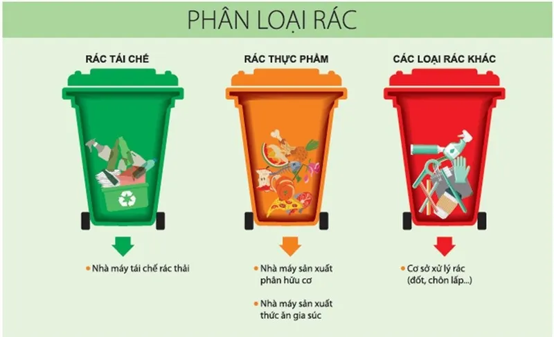 Sản phẩm 25072022 Anh 4 — Công Ty TNHH Thương Mại Dịch Vụ Xuất Nhập Khẩu Nhật Nghệ — MST 3702364980