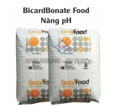 Sản phẩm bicardbonate food nang ph 7055 — Công Ty TNHH Một Thành Viên Sản Xuất Thương Mại Khởi Nghiệp Phát — MST 3702370053