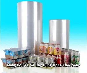 Sản phẩm mang co pvc va ung dung trong cuoc song 7444 — Công Ty TNHH Một Thành Viên Sản Xuất Thương Mại Khởi Nghiệp Phát — MST 3702370053
