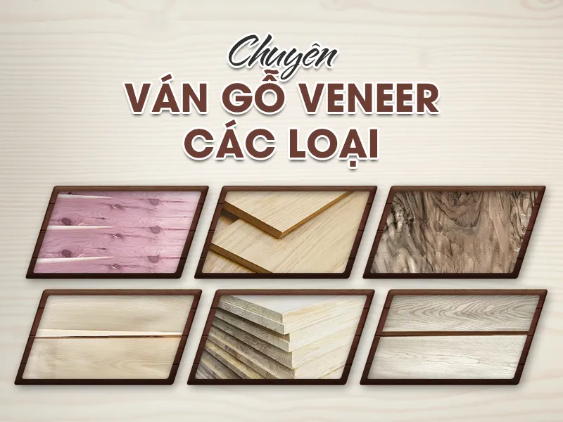 Sản phẩm Anh gioi thieu — Ván Gỗ Veneer Thụy Thái - Công Ty TNHH Thụy Thái — MST 3702380485