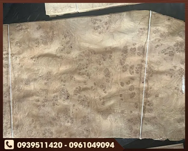 Sản phẩm Oak burl — Ván Gỗ Veneer Thụy Thái - Công Ty TNHH Thụy Thái — MST 3702380485