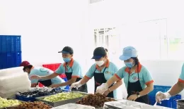 Sản phẩm z3040009394311c822480e5a749b9e0e19dd8614e507fb 5101 — Công Ty TNHH MTV Gia Tiến Vina — MST 3702383542