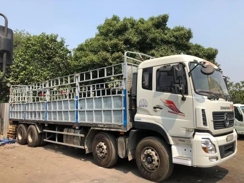 Sản phẩm z20841230502254c4c73aff9420ec229dc373838064fb8_1600742009 — Vận Tải Mạnh Cường Quân - Công Ty TNHH Một Thành Viên Mạnh Cường Quân — MST 3702395717