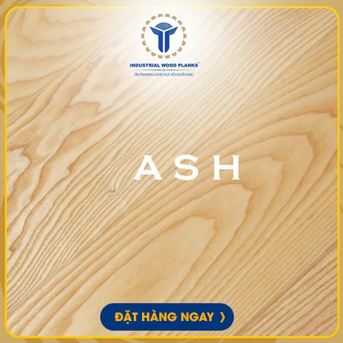 Sản phẩm ash — Công Ty Gỗ TPP ONE - Công Ty TNHH TPP ONE — MST 3702402530