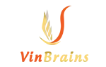 Logo Công Ty Cổ Phần Đầu Tư Và Phát Triển Vin Brains