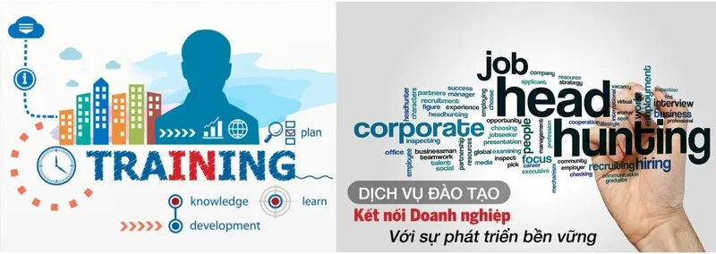 Sản phẩm 057918277563069_1366x485 — Công Ty Cổ Phần Đầu Tư Và Phát Triển Vin Brains — MST 3702404009