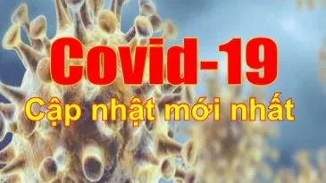 Sản phẩm 1 3591 — Công Ty Cổ Phần Đầu Tư Và Phát Triển Vin Brains — MST 3702404009