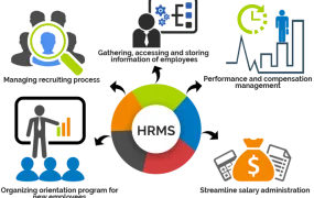 Sản phẩm kisspnghumanresourcemanagementsystemhumancapitalhumanresourcemanagementsystem5b1e1e77a1acf1 763_285x180 — Công Ty Cổ Phần Đầu Tư Và Phát Triển Vin Brains — MST 3702404009
