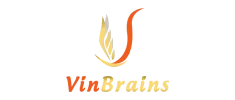 Sản phẩm vinbrainsgioithieu 6931 — Công Ty Cổ Phần Đầu Tư Và Phát Triển Vin Brains — MST 3702404009