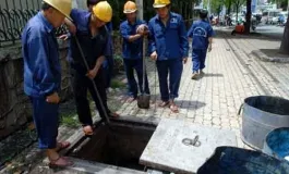 Sản phẩm 329597800375_265x160 — Công Ty TNHH Dịch Vụ Tổng Hợp Tài Đức — MST 3702408733