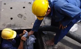 Sản phẩm 421605490815_265x160 — Công Ty TNHH Dịch Vụ Tổng Hợp Tài Đức — MST 3702408733
