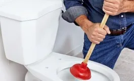 Sản phẩm 703884457159_265x160 — Công Ty TNHH Dịch Vụ Tổng Hợp Tài Đức — MST 3702408733