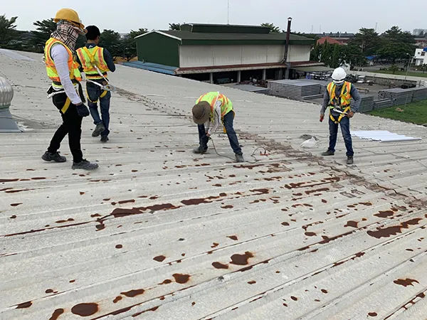 Sản phẩm chong tham dot mai ton 4 — Công Ty TNHH Xây Dựng Thương Mại Công Nghiệp Hoàn Cầu — MST 3702410926