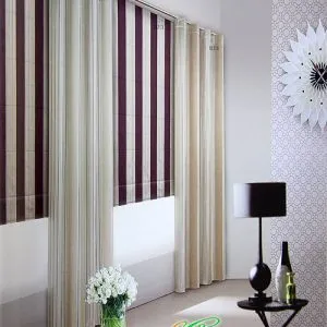 Sản phẩm rèm vải cao cấp 1 300x300 — Công Ty TNHH Một Thành Viên Thương Mại Đình Thành Phát — MST 3702415120