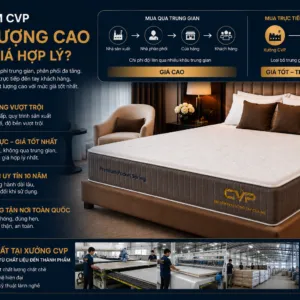 Sản phẩm NEM LO XO TUI DOC LAP CVP 1 300x300 — Công Ty TNHH CVP Cường Vinh Phát — MST 3702431764