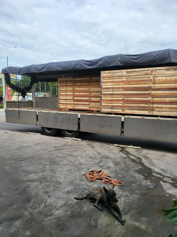 Sản phẩm z4837212126738_c99867da729eed82e2d85541cb9bcbdc — Công Ty TNHH MTV TM DV Hoàng Minh Định — MST 3702450326