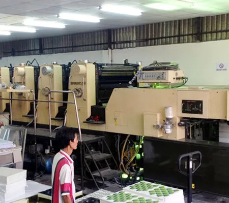 Sản phẩm doanh nghiep nganh bao bi giay dang an nen lam ra — Bao Bì Trường Việt - Công Ty TNHH Bao Bì Trường Việt — MST 3702479163